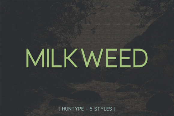 Milkweed Font for Modern Editorial Design