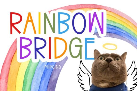 Rainbow Bridge Font for Vibrant Editorial Design